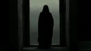 Задник до фильму"Гаррі Поттер та смертельні реліквії: Частина 2" #555338