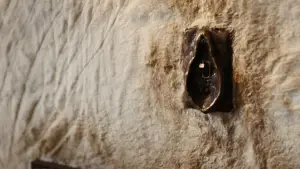 Задник до фильму"Бідолашні створіння" #584113