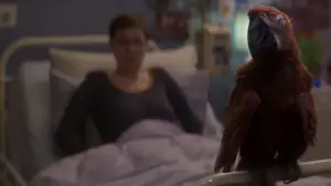 Задник до фильму"" #532804