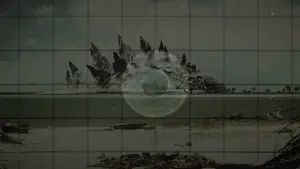 Задник до фильму"Ґодзілла" #613057