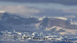 Задник до фильму"" #486265