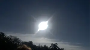 Задник до фильму"" #504665