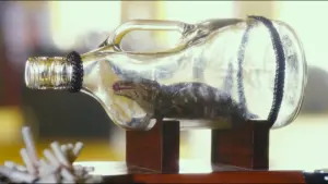 Задник до фильму"" #265015