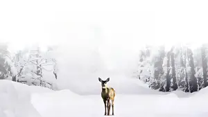 Задник до фильму"" #738852