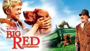 Задник до фильму"" #743544