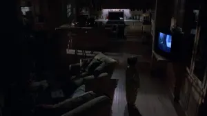 Задник до фильму"Жах на вулиці В