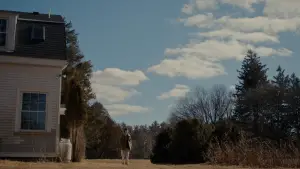 Задник до фильму"Пробач, дівчинко" #523511