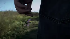 Задник до фильму"Centaurea" #874729