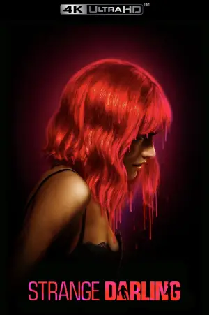 Постер до фильму"Переслідувач" #780747