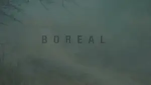 Задник до фильму"Boreal" #792174