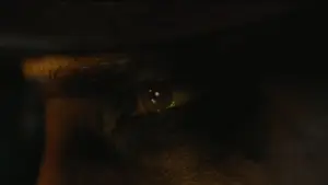 Задник до фильму"Бетмен" #747711