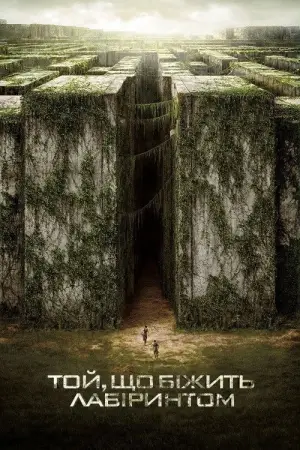 Постер до фильму"Той, що біжить лабіринтом" #551538
