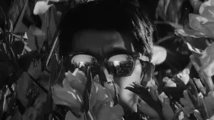 Задник до фильму"Рай і пекло" #685285