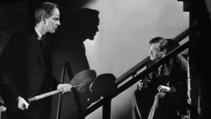 Задник до фильму"Миш’як і старі мережива" #204114