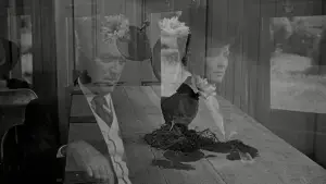 Задник до фильму"Людина, яка застрелила Ліберті Веленса" #754013