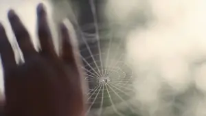 Задник до фильму"" #598713