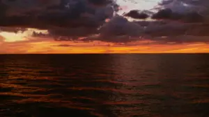 Задник до фильму"Мисливець на людей" #720983