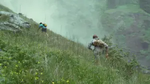 Задник до фильму"Назви мене своїм ім