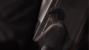 Задник до фильму"Last Flamingo of the Red Summer Sunset" #759031