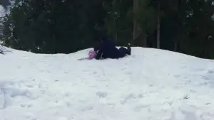 Задник до фильму"Феєрверк" #710947