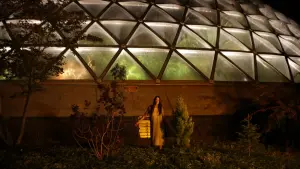 Задник до фильму"За межами чорної веселки" #390327