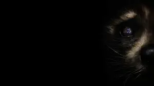 Задник до фильму"Вартові галактики 3" #560459