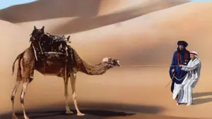 Задник до фильму"" #460578