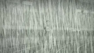 Задник до фильму"100 метрів" #553788