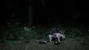 Задник до фильму"" #164453