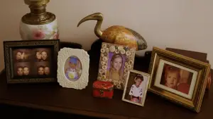 Задник до фильму"Шлюбна історія" #678084