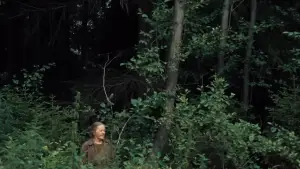 Задник до фильму"Дзеркало" #751453