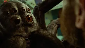 Задник до фильму"Космонавт" #311502