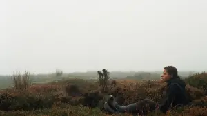 Задник до фильму"Буремний перевал" #396670