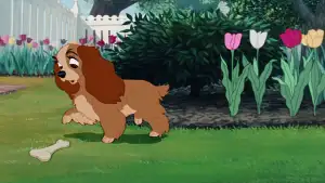 Задник до фильму"Леді та Блудько" #807750