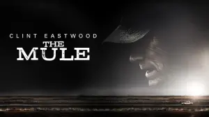 Наркокур’єр