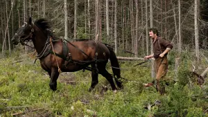 Задник до фильму"" #381645