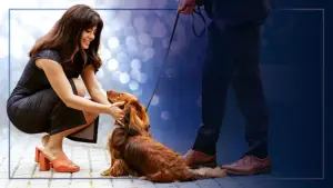 Задник до фильму"Paws in the City" #788918