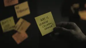 Задник до фильму"Каскадер" #572281