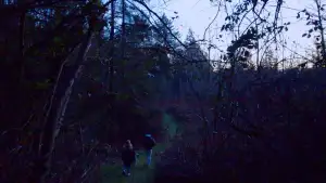 Задник до фильму"What