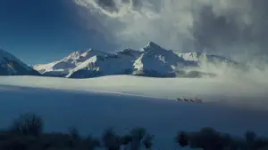 Задник до фильму"Мерзенна вісімка" #582699