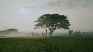 Задник до фильму"" #536791