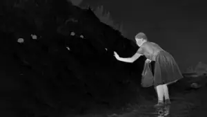 Задник до фильму"Зона інтересу" #611308