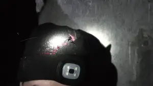 Задник до фильму"" #681821