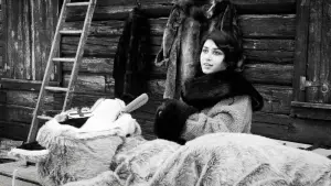 Задник до фильму"Hundreds of Beavers" #756239