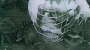 Задник до фильму"ギニーピッグ 悪魔の実験" #800498