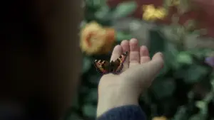 Задник до фильму"Сентиментальна цінність" #761189