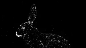 Задник до фильму"" #739106