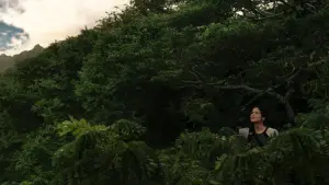 Задник до фильму"Голодні ігри: У вогні" #625207