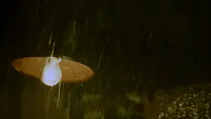 Задник до фильму"Любовний настрій" #527314