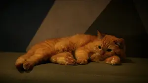 Задник до фильму"Майк і Нік і Нік і Еліс" #795533